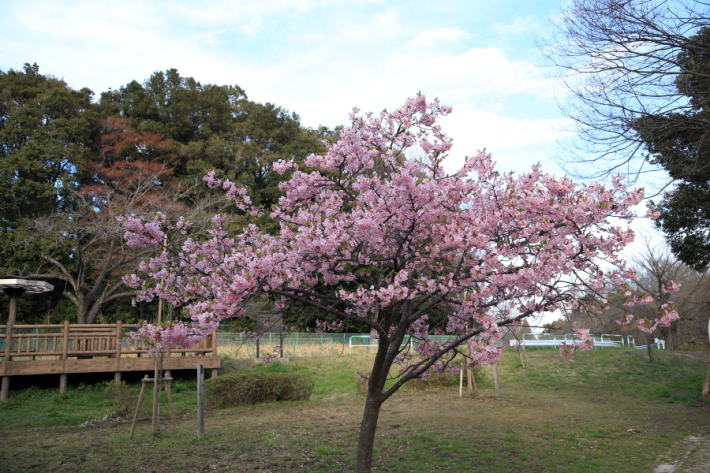 f0229832_22580908.jpg