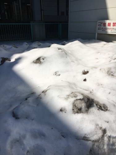 b0346442_21580697.jpeg