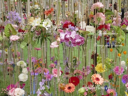 都心の春 東京ミッドタウン日比谷 花の輪舞 Ronde 風と花を紡いで