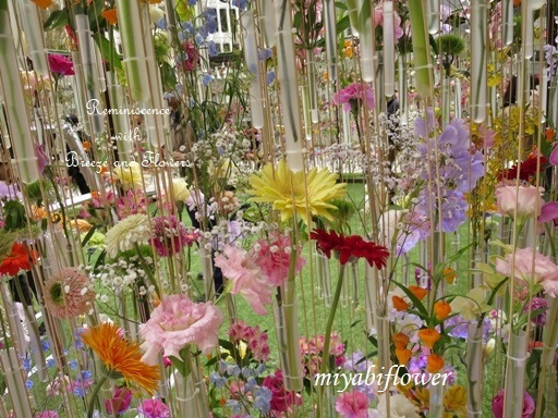 都心の春 東京ミッドタウン日比谷 花の輪舞 Ronde 風と花を紡いで