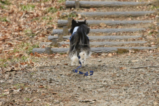 c0145250_19552507.gif