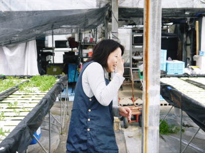 水耕栽培の新鮮野菜 朝採り新鮮野菜を即日発送!無農薬栽培の生野菜!今なら全商品がそろってます!_a0254656_17405393.jpg