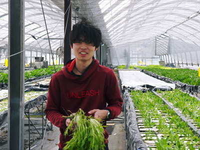 水耕栽培の新鮮野菜 朝採り新鮮野菜を即日発送!無農薬栽培の生野菜!今なら全商品がそろってます!_a0254656_18042245.jpg