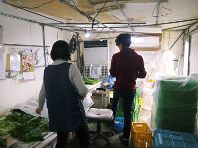 水耕栽培の新鮮野菜 朝採り新鮮野菜を即日発送!無農薬栽培の生野菜!今なら全商品がそろってます!_a0254656_18060415.jpg