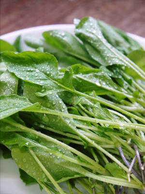 水耕栽培の新鮮野菜 朝採り新鮮野菜を即日発送!無農薬栽培の生野菜!今なら全商品がそろってます!_a0254656_18231929.jpg