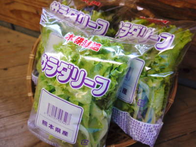 水耕栽培の新鮮野菜 朝採り新鮮野菜を即日発送!無農薬栽培の生野菜!今なら全商品がそろってます!_a0254656_18290355.jpg