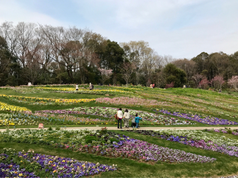 Garden Necklace Yokohama 2019_e0345564_17233080.jpg