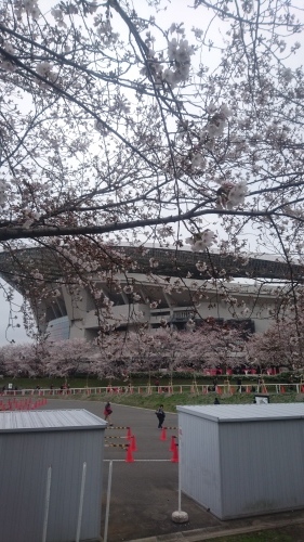 f0382570_20164826.jpg