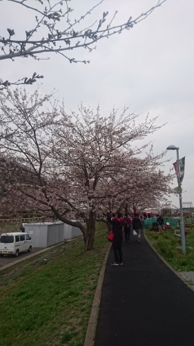 f0382570_20171314.jpg