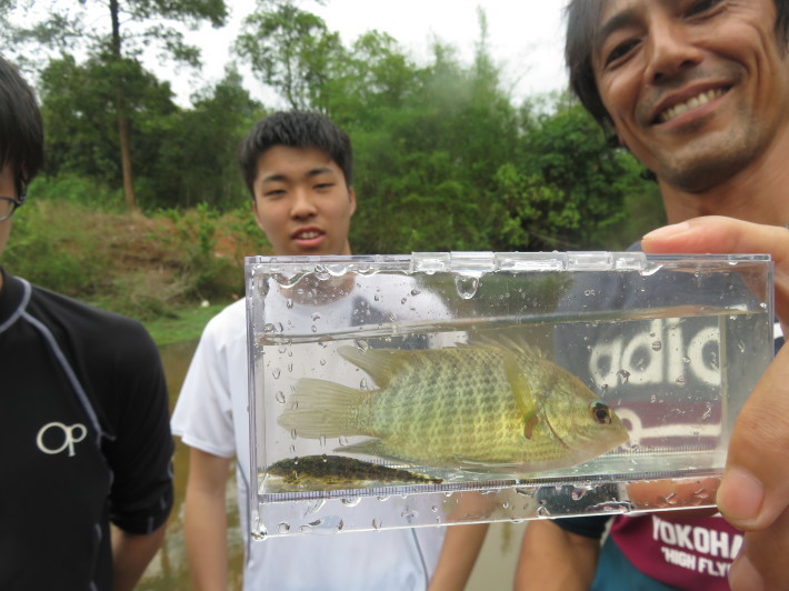 いよいよ投網を実践☆カンボジアの淡水魚を獲りたい！釣りたい！『水の暮らし体験』_e0322871_02180395.jpg