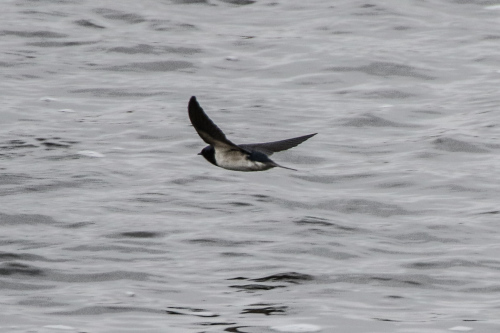 e0098079_11335021.jpg