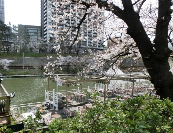 b0138581_17361831.jpg