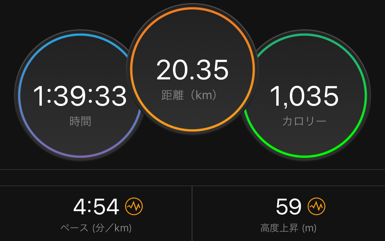 春先からの練習メニューに想いを馳せる_f0310282_14000691.jpeg