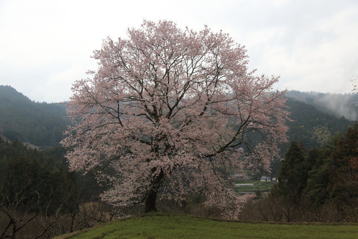 c0358784_22133054.jpg