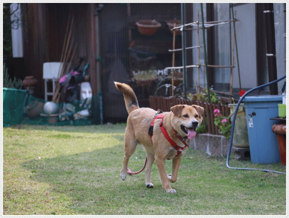 b0175688_00340663.gif