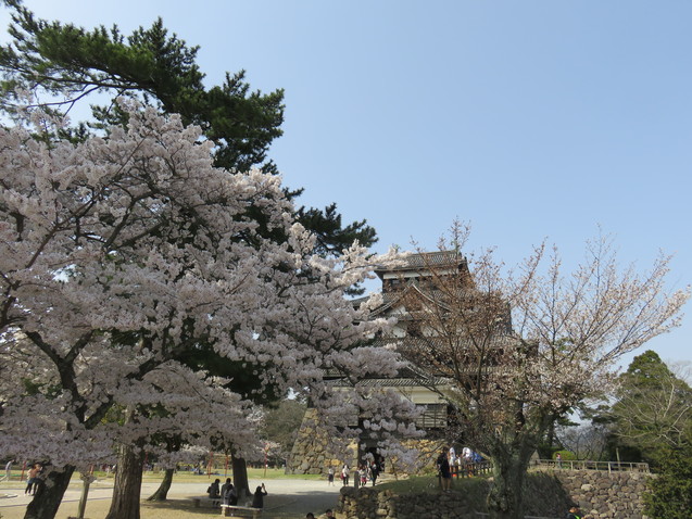 c0171889_16435443.jpg