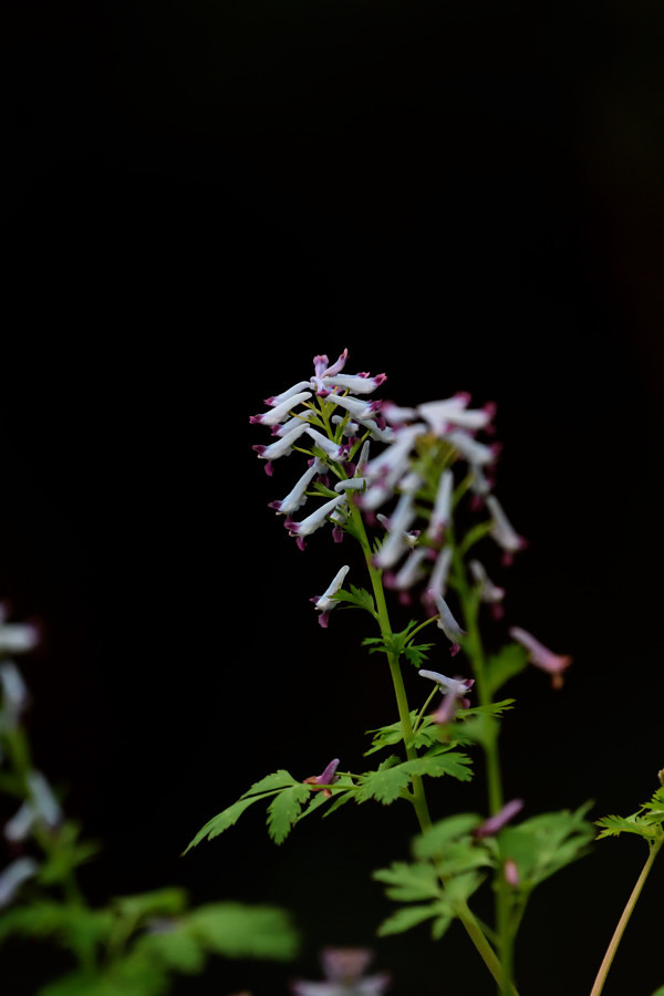 a0143491_23432816.jpg