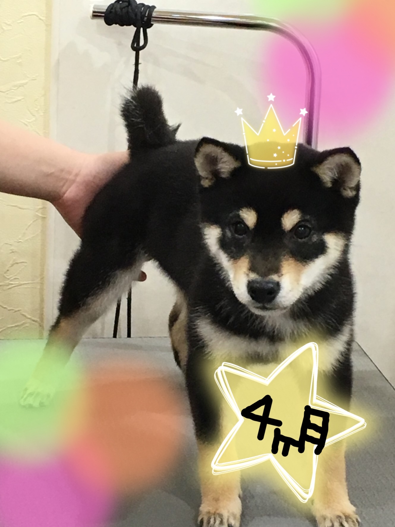 d0269898_18171932.jpeg