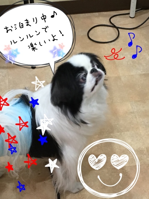 d0269898_18182855.jpeg
