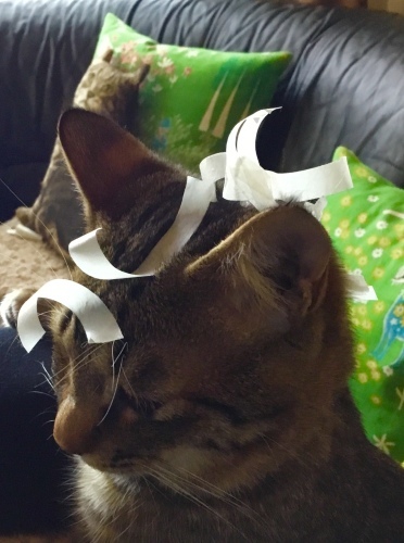 b0301400_19551475.jpeg