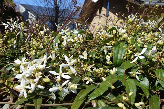 c0124100_16540726.jpg