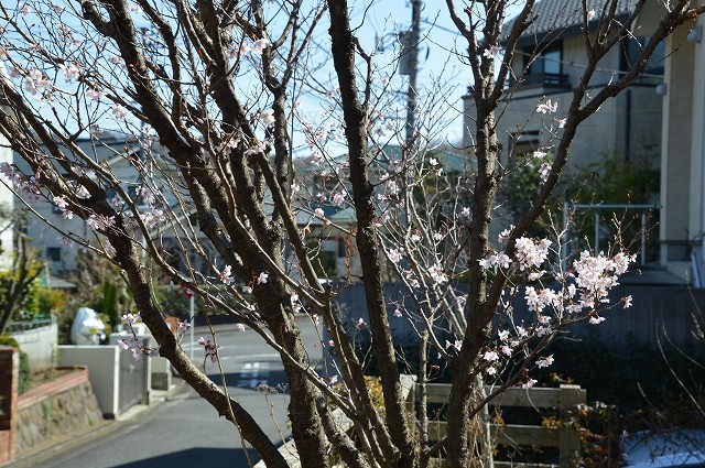 c0124100_16543119.jpg