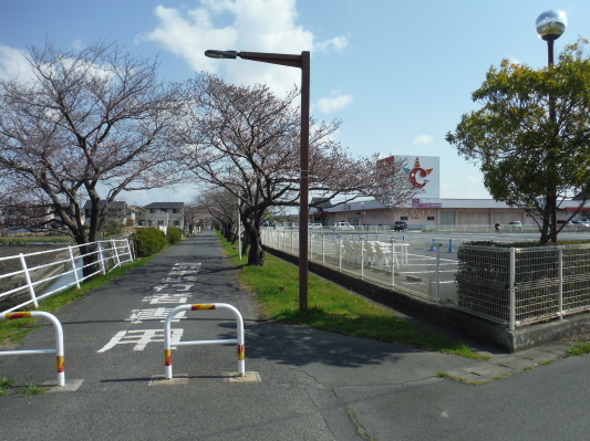 朝うどん&桜サイクリング_c0132901_19530978.jpg