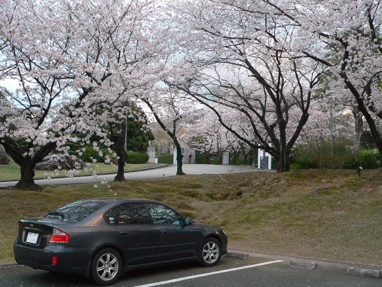 レガシー桜ドライブ_f0130601_23423920.jpg