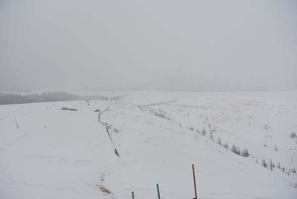 f0006510_19422309.jpg