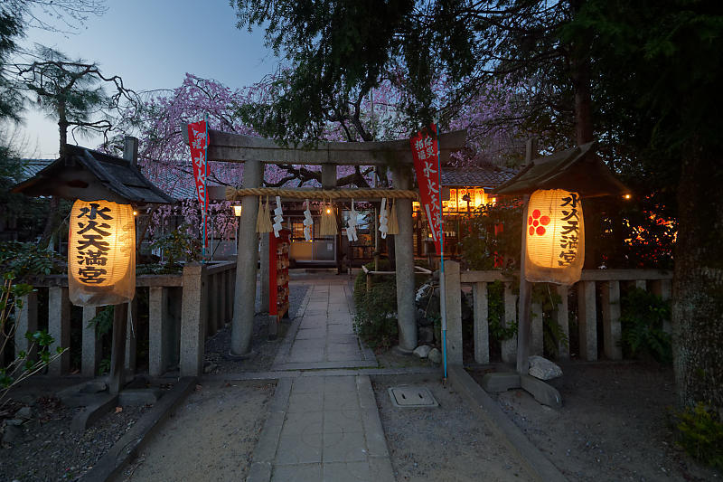 桜巡り2019＠水火天満宮の夜桜_f0032011_21015200.jpg