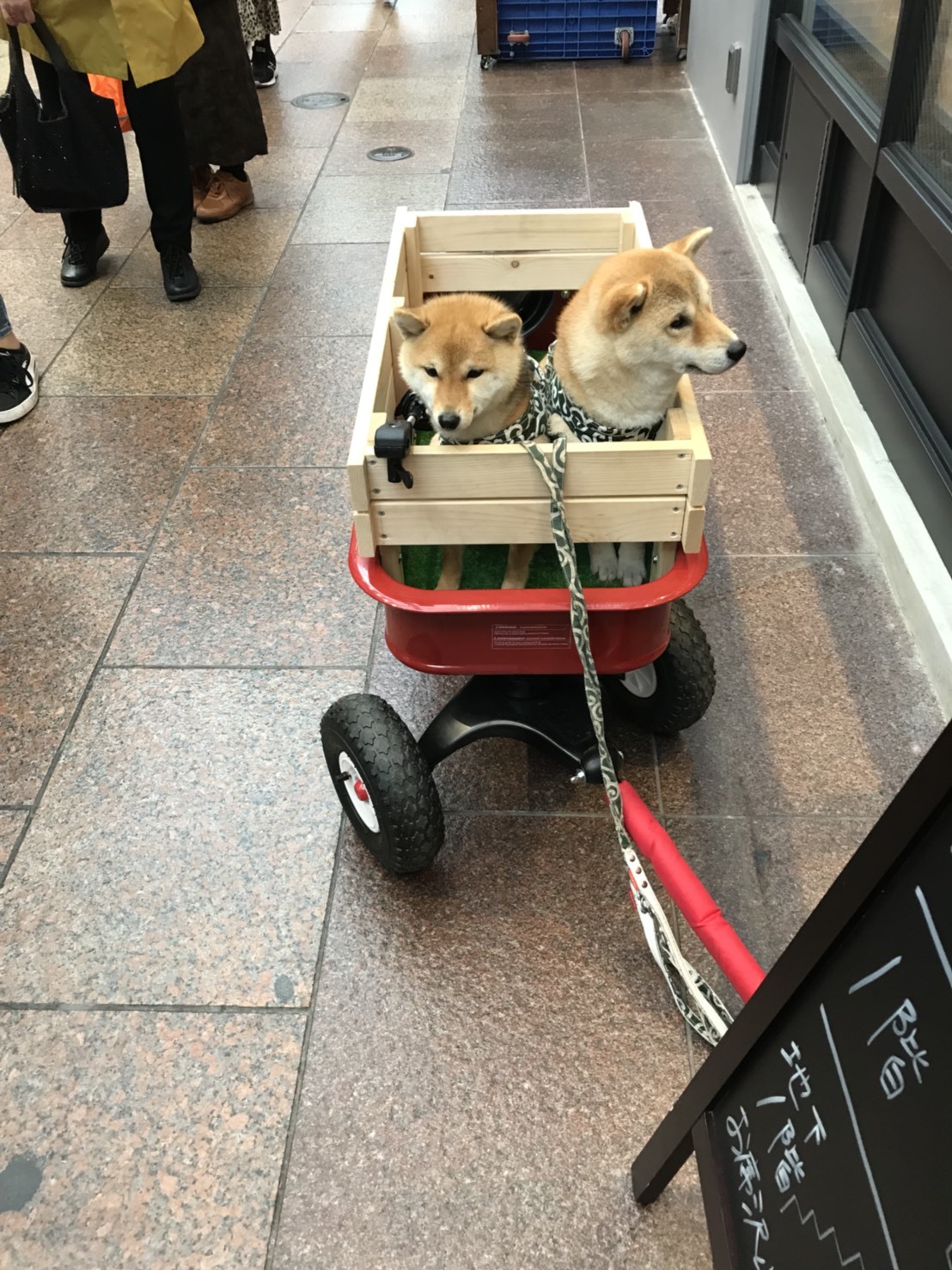d0184114_20221731.jpeg