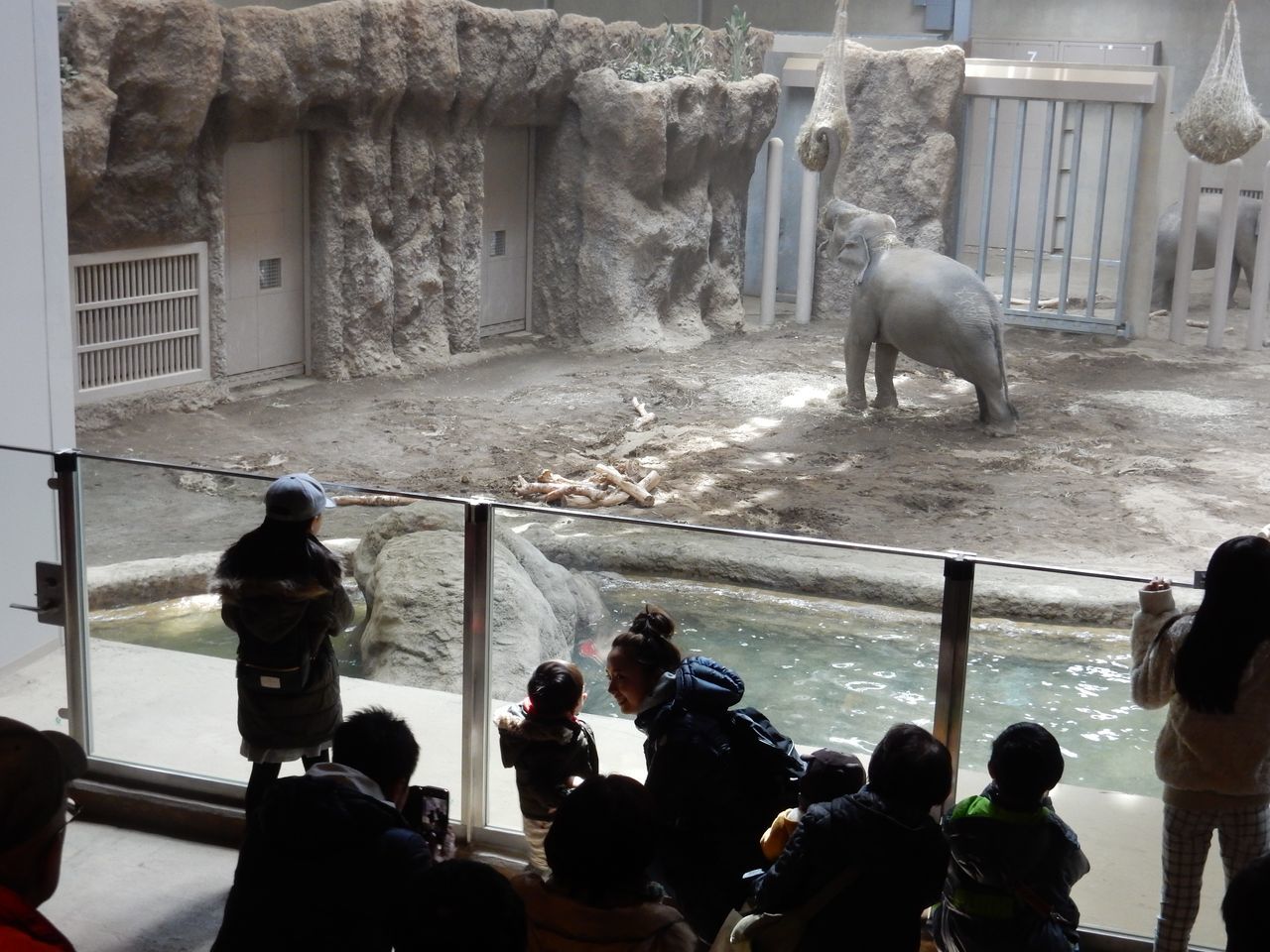 早春の円山動物園_c0025115_22463412.jpg