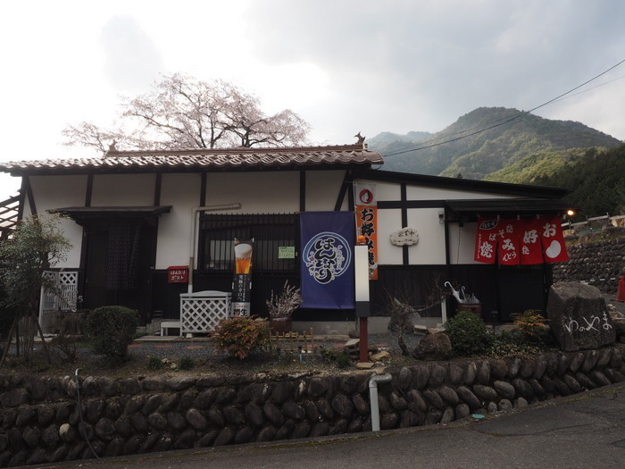 湯の山のしだれ桜_c0116915_23505266.jpg