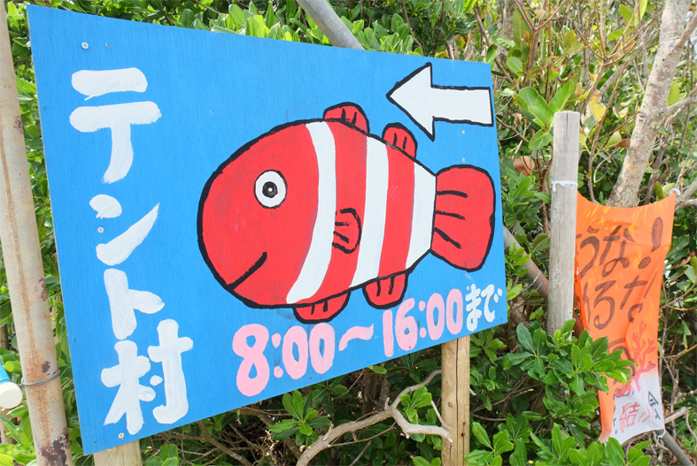 ■辺野古海岸で宝貝を探す――沖縄米軍基地ツアー_d0190217_16014507.jpg