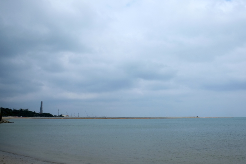 ■辺野古海岸で宝貝を探す――沖縄米軍基地ツアー_d0190217_16062308.jpg