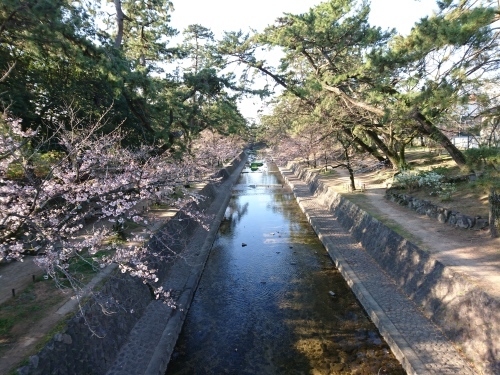 e0179321_15280323.jpg
