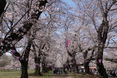 f0128821_21530294.jpg
