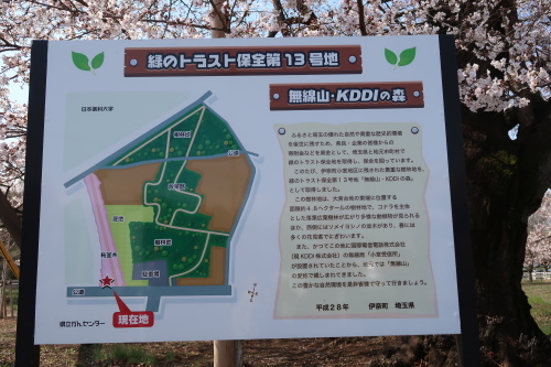 f0128821_21584214.jpg