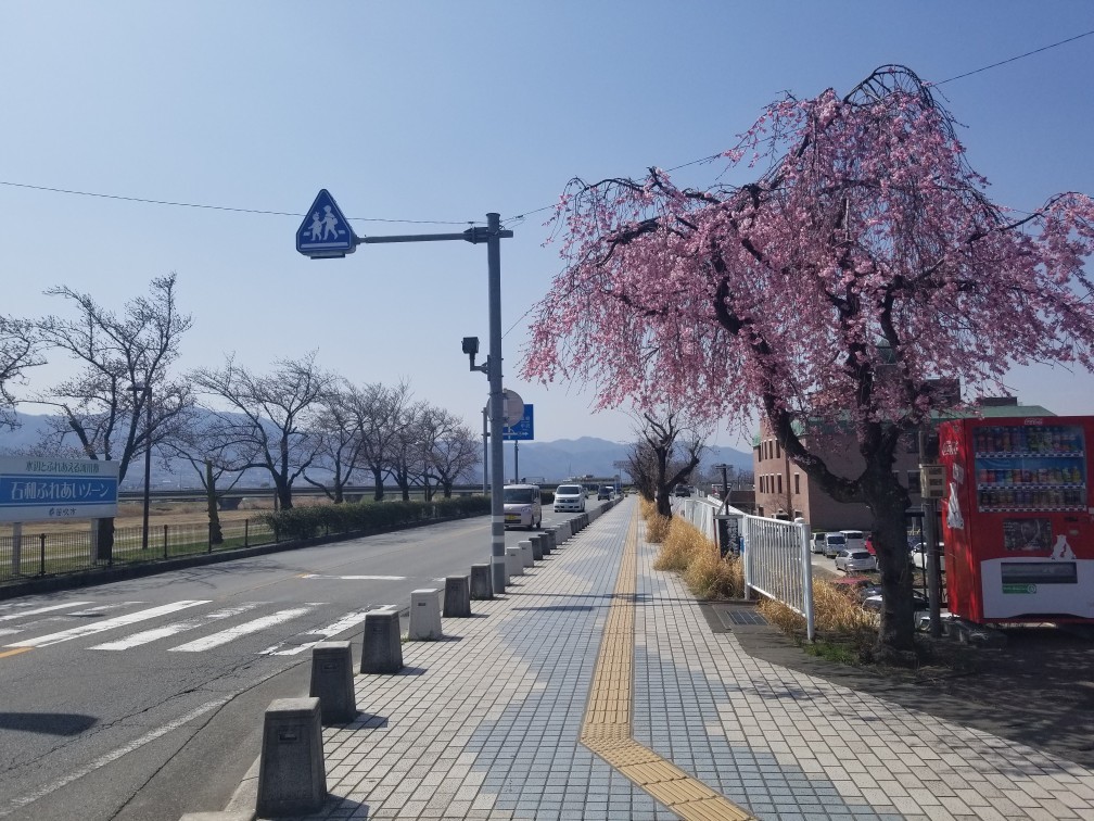 ♪花＆食求めて★山梨へ！_d0162225_23521971.jpg