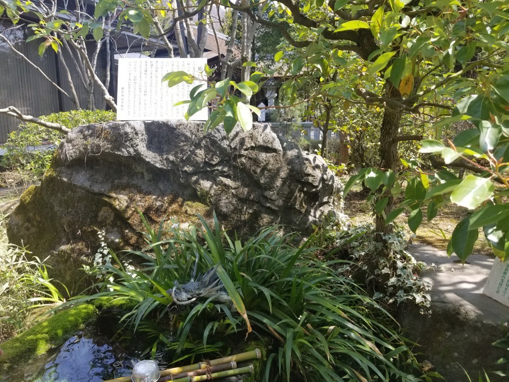 ♪花＆食求めて★山梨へ！_d0162225_23551805.jpg