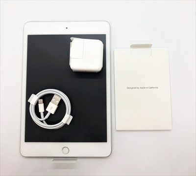 iPad mini 第5世代 [純正箱・付属品完備] ホワイトスポットあり