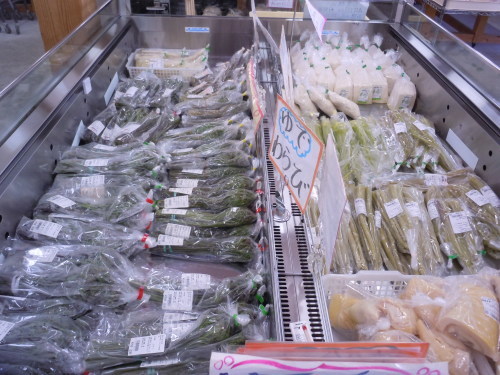 f0227432_09141373.jpg