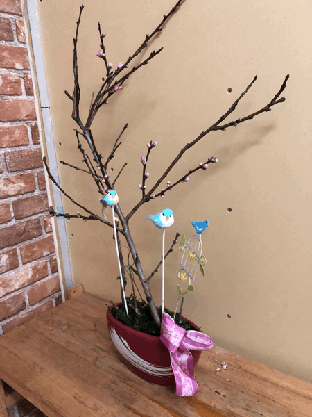 桃_e0105035_12245791.gif
