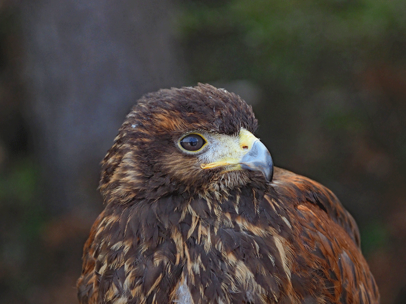 d0290240_20002928.gif