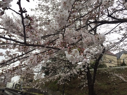 a0272241_17264066.jpeg