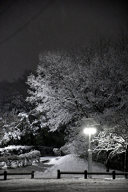 b0314043_08071474.jpg