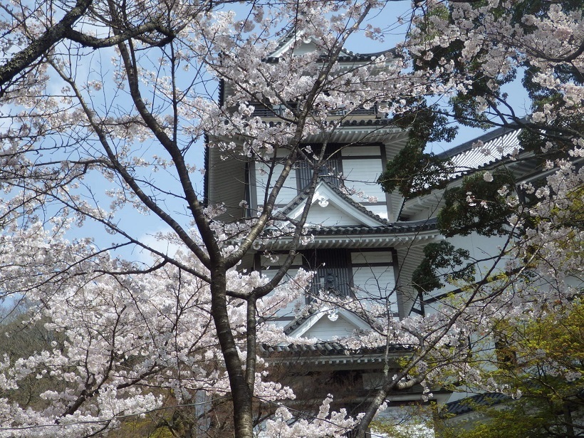 添田公園へ 岩石山 弓張岳を歩く 信ちゃんの美夜古たより