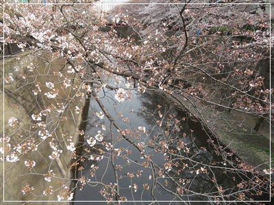 b0254145_17135465.gif