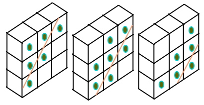 算数オリンピック<18>平面で切断_b0368745_07372936.jpg