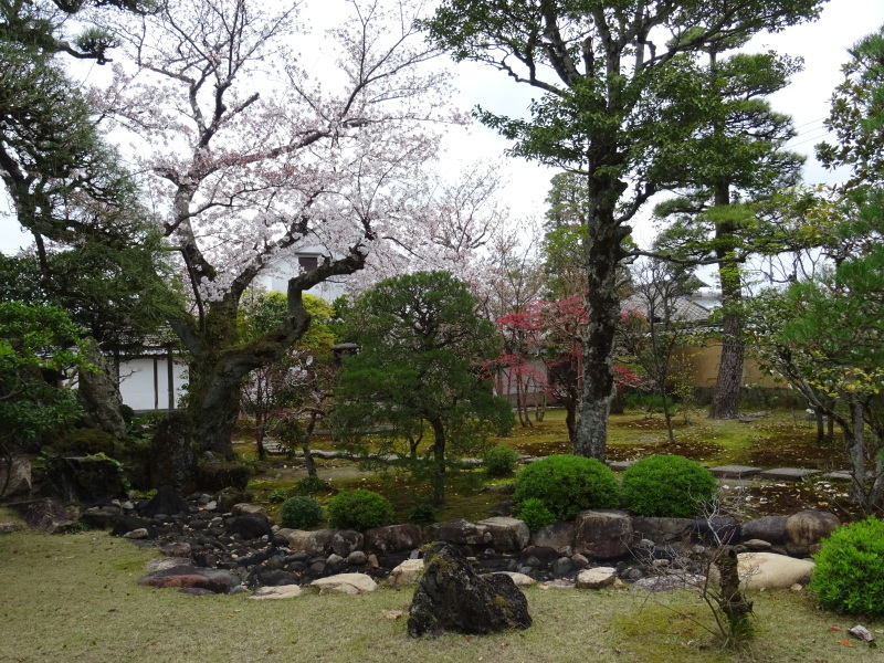 春本番_f0101949_15091650.jpg